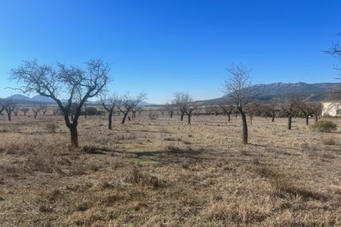 Villa a Jarafuel, Valencia, Jarafuel - € 139.000 | Ref: S-1496014 - foto 5