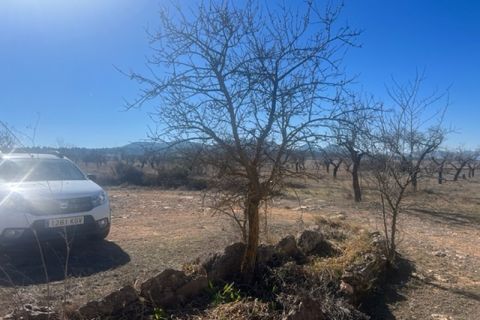 Villa a Jarafuel, Valencia, Jarafuel - € 139.000 | Ref: S-1496014 - foto 8