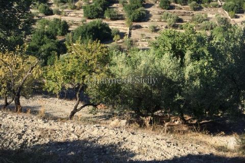 Villa i Modica, Ragusa, Modica - € 89.000 | Ref: Z 31 - foto 19