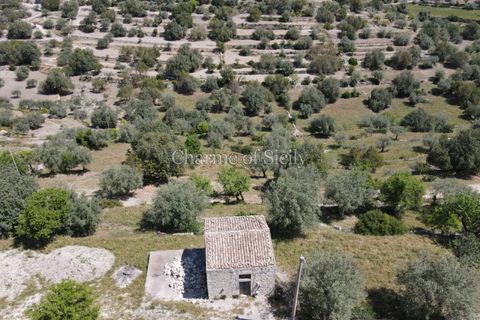 Villa i Modica, Ragusa, Modica - € 89.000 | Ref: Z 31 - foto 31