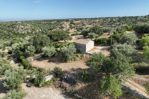 Villa i Modica, Ragusa, Modica - € 89 000 | Ref: Z 31 - foto 39