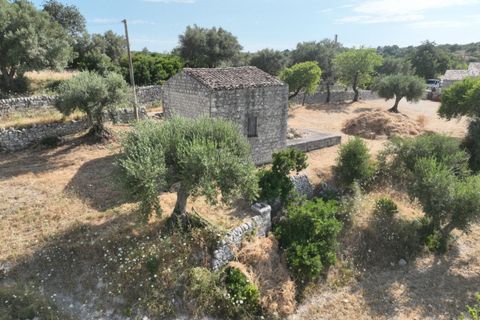 Villa i Modica, Ragusa, Modica - € 89 000 | Ref: Z 31 - foto 42
