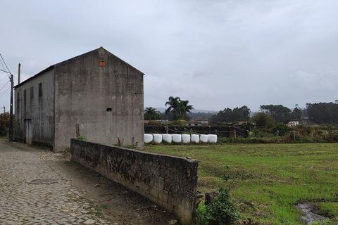 Helårsgrund i Barcelos, Braga, Barcelos - € 195.000 | Ref: 757245 - foto 10