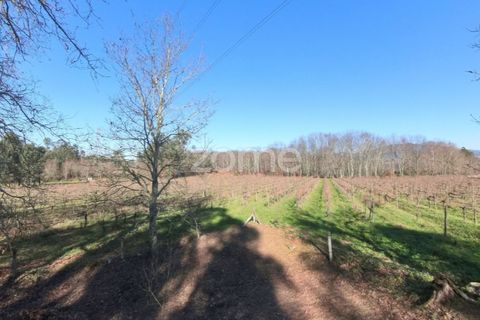 Helårsgrund i Amares, Braga, Amares - € 69.900 | Ref: ZMPT573451 - foto 12