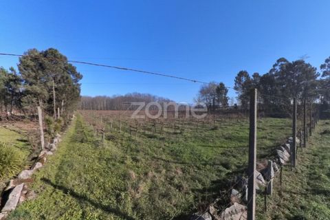 Helårsgrund i Amares, Braga, Amares - € 69.900 | Ref: ZMPT573451 - foto 4