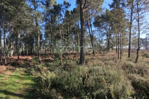 Helårsgrund i Amares, Braga, Amares - € 69.900 | Ref: ZMPT573451 - foto 8
