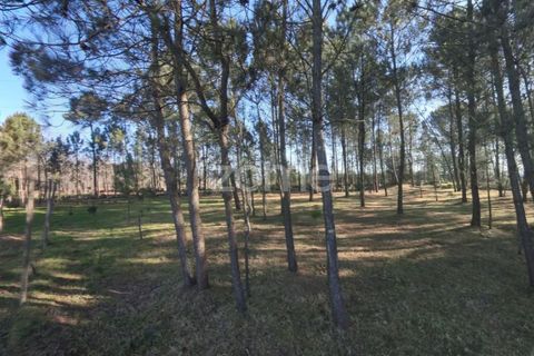 Helårsgrund i Amares, Braga, Amares - € 69.900 | Ref: ZMPT573451 - foto 9