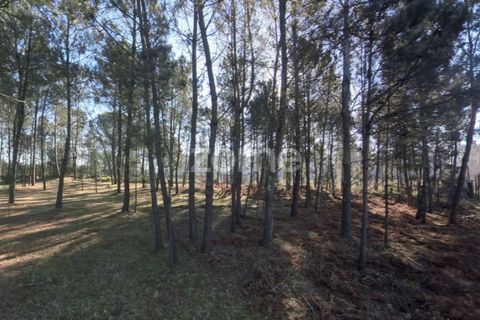 Helårsgrund i Amares, Braga, Amares - € 69.900 | Ref: ZMPT573451 - foto 11