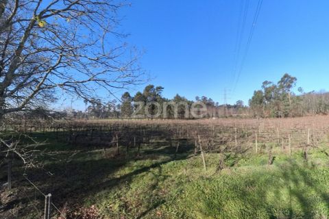 Helårsgrund i Amares, Braga, Amares - € 69.900 | Ref: ZMPT573451 - foto 14