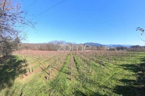 Helårsgrund i Amares, Braga, Amares - € 69.900 | Ref: ZMPT573451 - foto 18