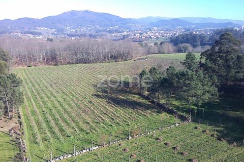 Helårsgrund i Amares, Braga, Amares - € 69.900 | Ref: ZMPT573451 - foto 1