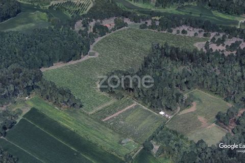 Helårsgrund i Amares, Braga, Amares - € 69.900 | Ref: ZMPT573451 - foto 19