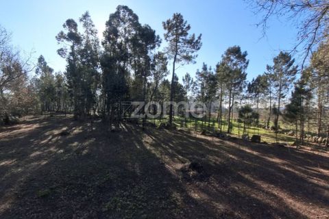 Helårsgrund i Amares, Braga, Amares - € 69.900 | Ref: ZMPT573451 - foto 13