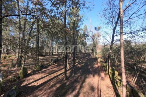 Grond in Amares, Braga, Amares - € 69.900 | Ref: ZMPT573451 - foto 12