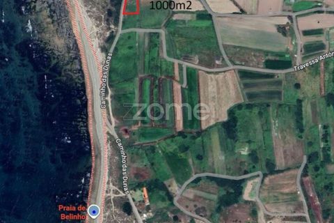 Helårsgrund i Esposende, Braga, Esposende - € 30.000 | Ref: ZMPT581122 - foto 1