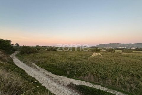 Helårsgrund i Esposende, Braga, Esposende - € 30.000 | Ref: ZMPT581122 - foto 4