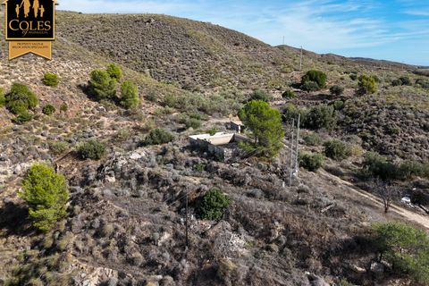 Villa i Los Gallardos, Almeria, Los Gallardos - € 250.000 | Ref: GAL4V07 - foto 40