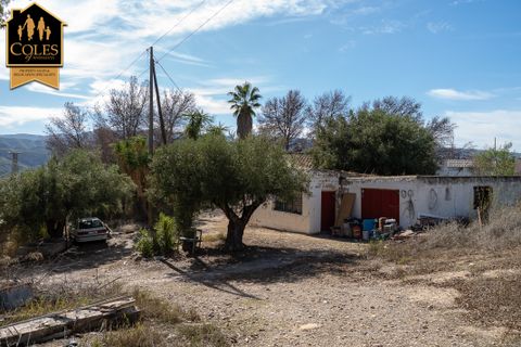 Villa i Los Gallardos, Almeria, Los Gallardos - € 250.000 | Ref: GAL4V07 - foto 23