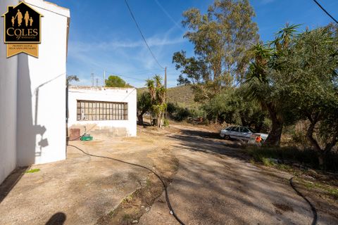 Villa i Los Gallardos, Almeria, Los Gallardos - € 250.000 | Ref: GAL4V07 - foto 33