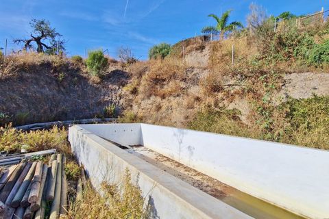 Landejendom i Benajarafe, Malaga, Benajarafe - € 295.000 | Ref: AX1411 - foto 31