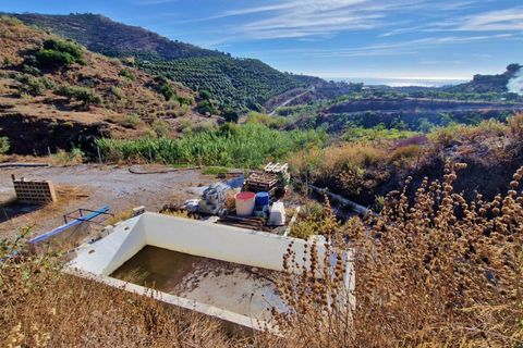 Landejendom i Benajarafe, Malaga, Benajarafe - € 295.000 | Ref: AX1411 - foto 43