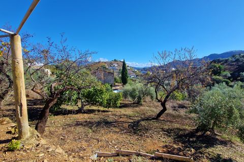 Landejendom i Comares, Malaga, Comares - € 295.000 | Ref: AX1412 - foto 43