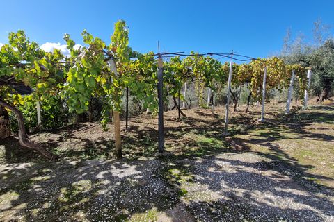 Landejendom i Comares, Malaga, Comares - € 295.000 | Ref: AX1412 - foto 27