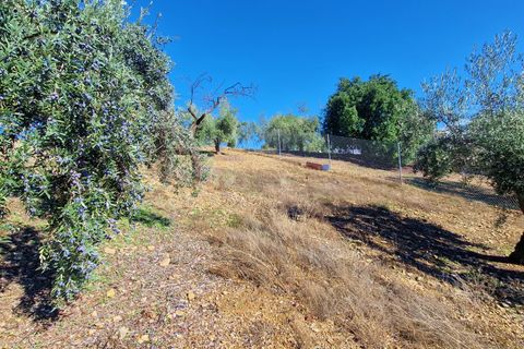 Landejendom i Comares, Malaga, Comares - € 295.000 | Ref: AX1412 - foto 40