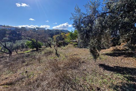 Landejendom i Comares, Malaga, Comares - € 295.000 | Ref: AX1412 - foto 38
