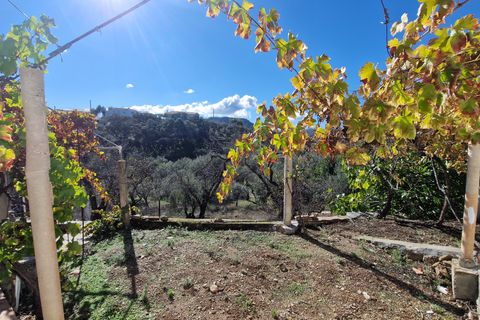Landejendom i Comares, Malaga, Comares - € 295.000 | Ref: AX1412 - foto 30