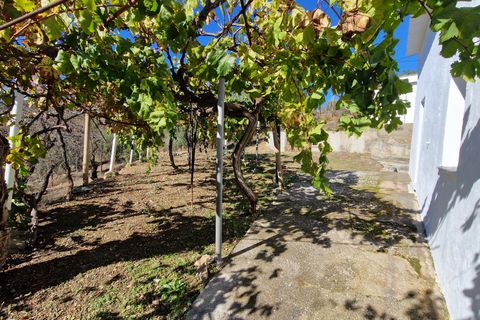 Landejendom i Comares, Malaga, Comares - € 295.000 | Ref: AX1412 - foto 31