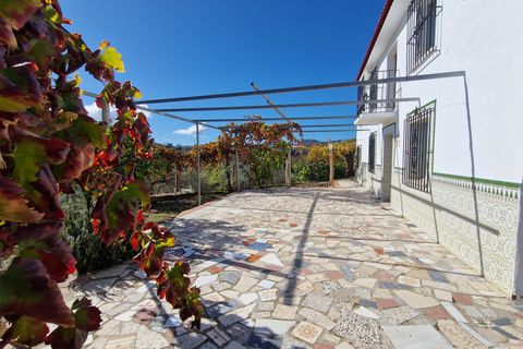 Landejendom i Comares, Malaga, Comares - € 295.000 | Ref: AX1412 - foto 25