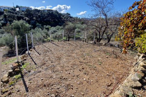 Landejendom i Comares, Malaga, Comares - € 295.000 | Ref: AX1412 - foto 29