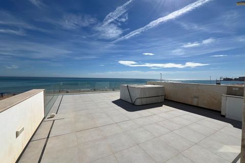 Villa a Torrevieja, Alicante, Torrevieja - € 1.900.000 | Ref: MLSC5602438/13477 - foto 29