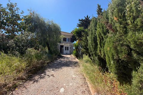 Villa a Torrevieja, Alicante, Torrevieja - € 389.900 | Ref: MLSC1726301/13477 - foto 2