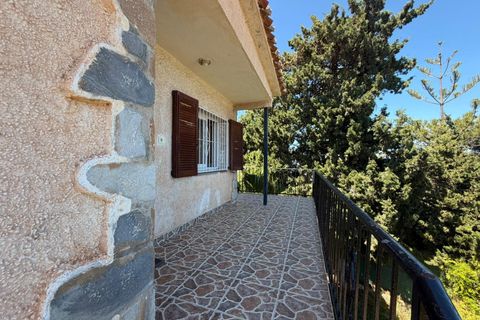 Villa a Torrevieja, Alicante, Torrevieja - € 389.900 | Ref: MLSC1726301/13477 - foto 7