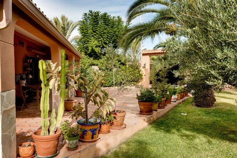 Villa a Torrevieja, Alicante, Torrevieja - € 850.000 | Ref: MLSC9863108/13477 - foto 13