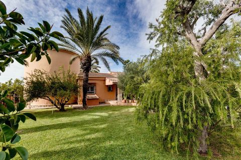 Villa a Torrevieja, Alicante, Torrevieja - € 850.000 | Ref: MLSC9863108/13477 - foto 15