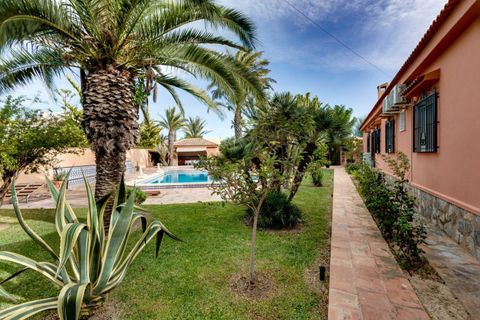 Villa a Torrevieja, Alicante, Torrevieja - € 850.000 | Ref: MLSC9863108/13477 - foto 28