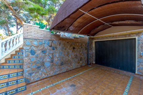 Villa i Torrevieja, Alicante, Torrevieja - € 490.000 | Ref: MLSC4630007/13477 - foto 39