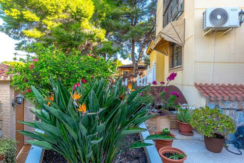 Villa i Torrevieja, Alicante, Torrevieja - € 490.000 | Ref: MLSC4630007/13477 - foto 44