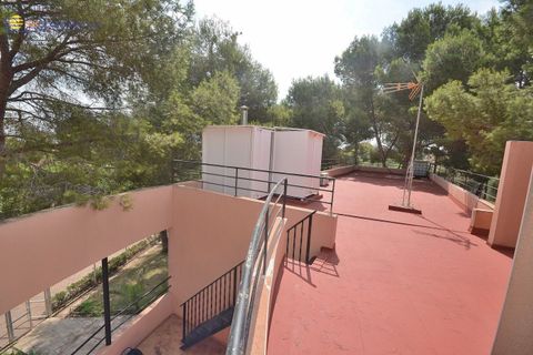 Villa a Torrevieja, Alicante, Torrevieja - € 690.000 | Ref: MLSC7994318/13477 - foto 12