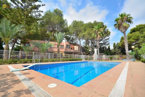 Villa a Torrevieja, Alicante, Torrevieja - € 690.000 | Ref: MLSC7994318/13477 - foto 25