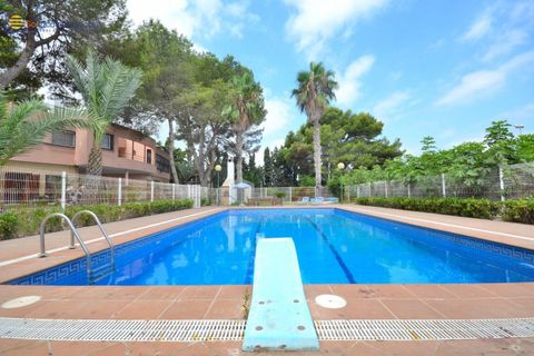 Villa a Torrevieja, Alicante, Torrevieja - € 690.000 | Ref: MLSC7994318/13477 - foto 30