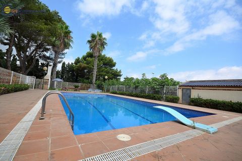 Villa a Torrevieja, Alicante, Torrevieja - € 690.000 | Ref: MLSC7994318/13477 - foto 31