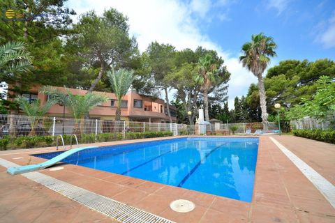 Villa a Torrevieja, Alicante, Torrevieja - € 690.000 | Ref: MLSC7994318/13477 - foto 33