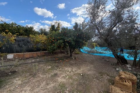 Landejendom i Mondron, Malaga, Mondron - € 146.000 | Ref: ID4408 - foto 7