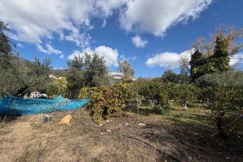 Landejendom i Mondron, Malaga, Mondron - € 146.000 | Ref: ID4408 - foto 16