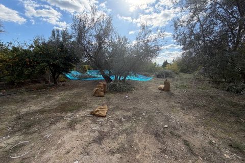 Landejendom i Mondron, Malaga, Mondron - € 146.000 | Ref: ID4408 - foto 19