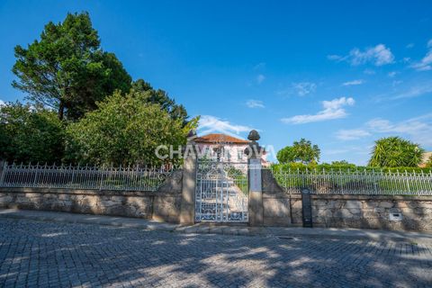 Gård i Trofa, Porto, Trofa - € 760 000 | Ref: MAI/02380 - foto 12